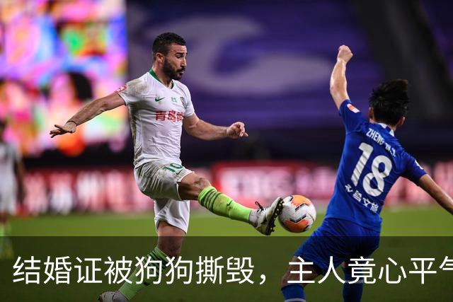 结婚证被狗狗撕毁，主人竟心平气和赢得欢笑